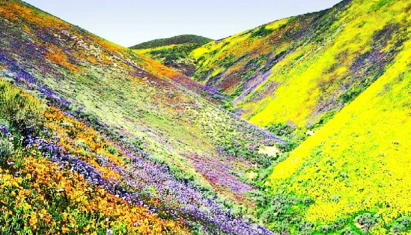 Colour Version фотография #21