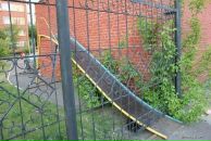 Андрей Эскин фотография #46 (источник - https://vk.com/id151949708)