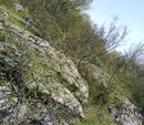 Марія Сотер фотография #22 (источник - https://vk.com/id134376345)