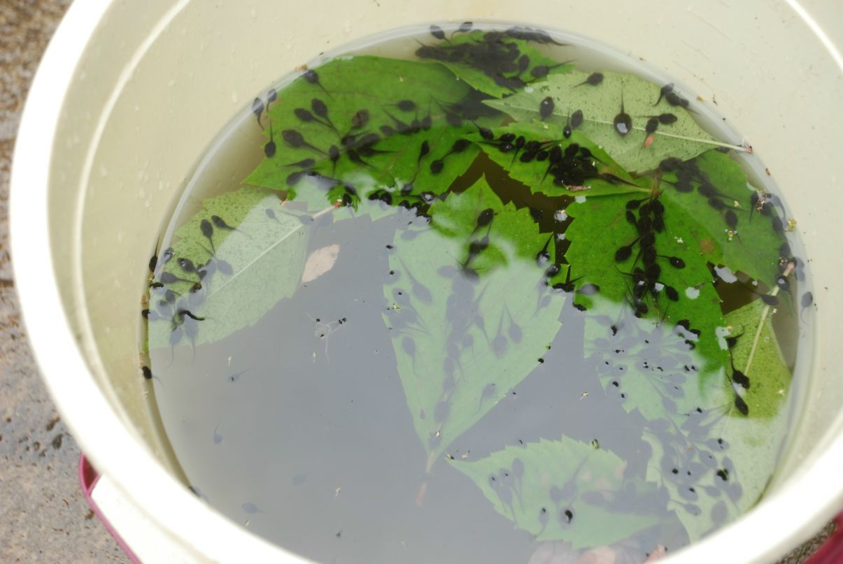 Илья Ткаленко фотография #42