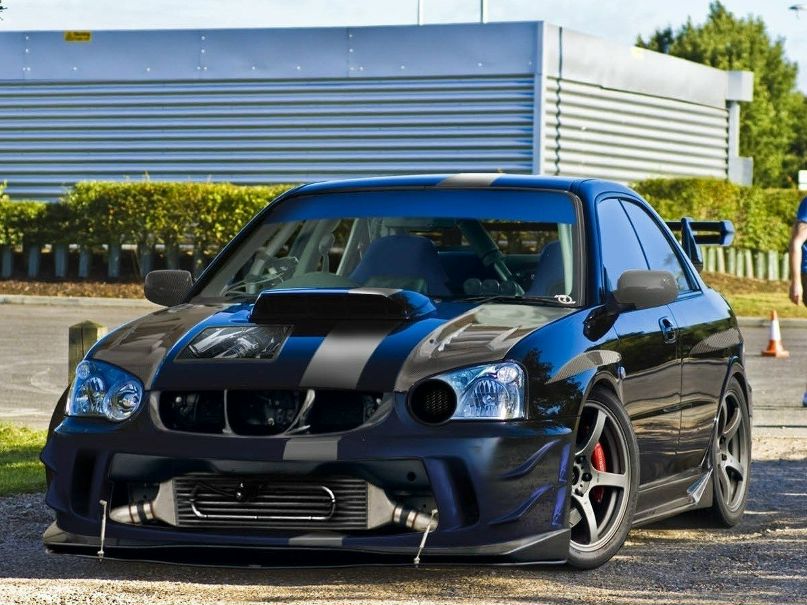 Vasa Plotnik фотография #44