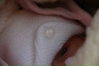 Фотография Ведерниковой Ирины