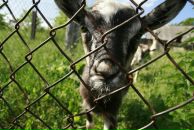 Фотография Строкача Дмитрия