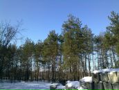 Сергій Манжура фотография #31 (источник - https://vk.com/id155292009)