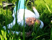 Фотография Хроленко Людмилы