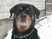 Фотография Маркиной Валерии