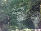 Igor Igor фотография #50 (источник - https://vk.com/id577602)