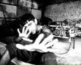 Фотография Gull Azer