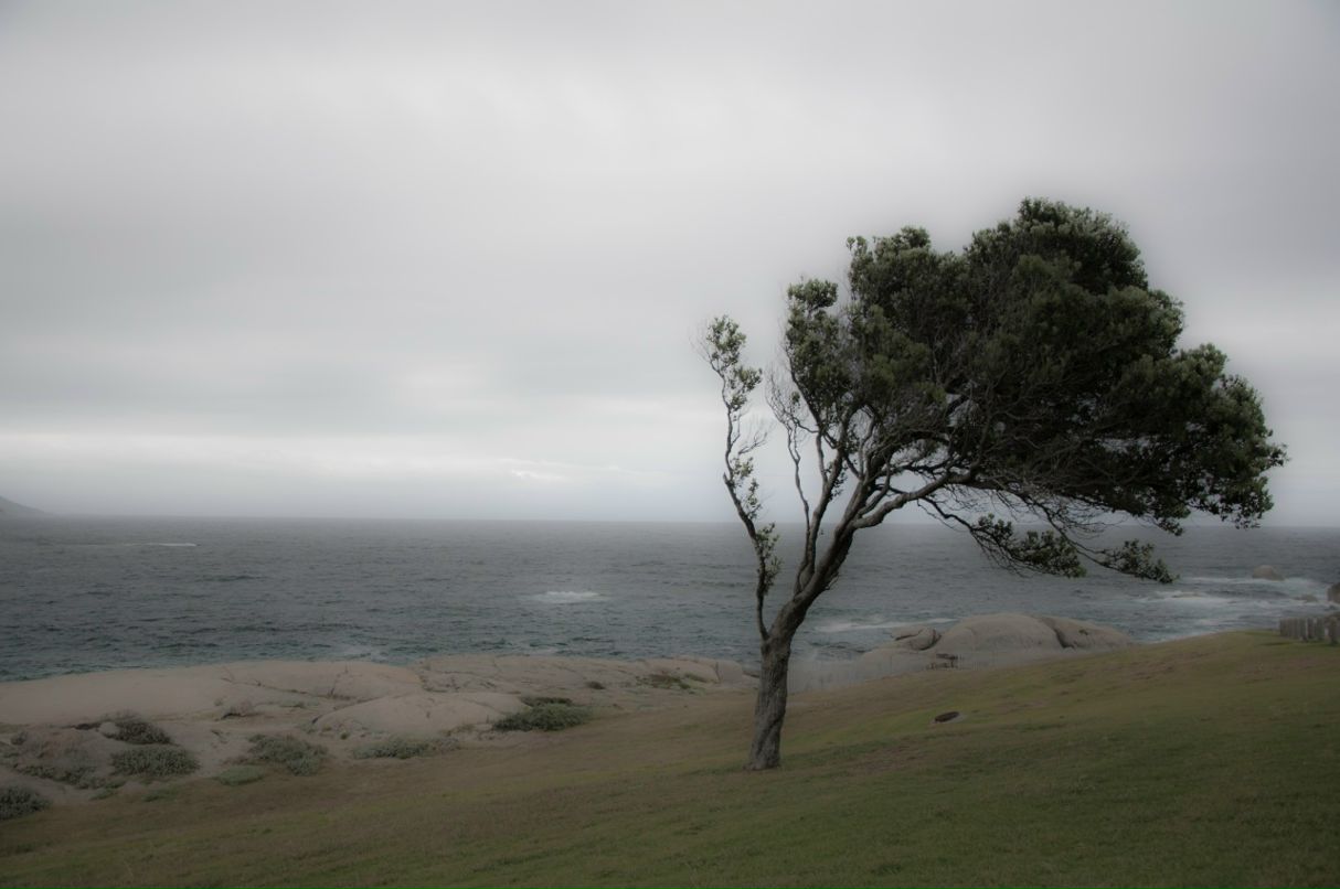 Артем Панченко фотография #48