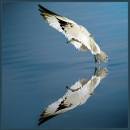 Фотография Ульянова Андрея