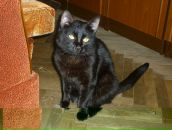 Фотография Беловой Инны