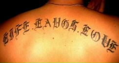 Фотография Фалько Михаила