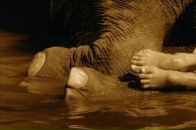 Фотография Серовой Анны