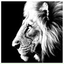 Фотография Белогорского Александра