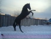 Фотография Валиулиной Ольги