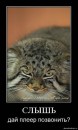 Я... ФоЛныФко=) фотография #13 (источник - https://vk.com/id58452694)