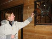 Фотография Нетёсовой Маши