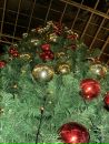 Фотография Вальтера Евгения
