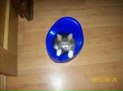 Андрей Поляков фотография #23 (источник - https://vk.com/id2800546)