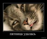 Фотография Петрова Алексея