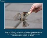 Фарид Мударрис фотография #33 (источник - https://vk.com/id90649712)