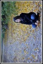 Фотография Думалкиной Екатерины