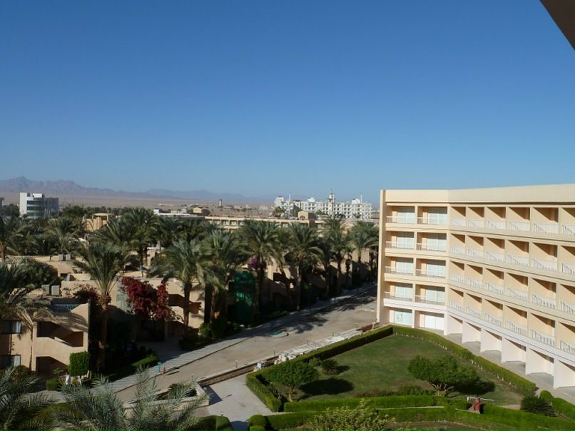 Андрей Логачев фото №24