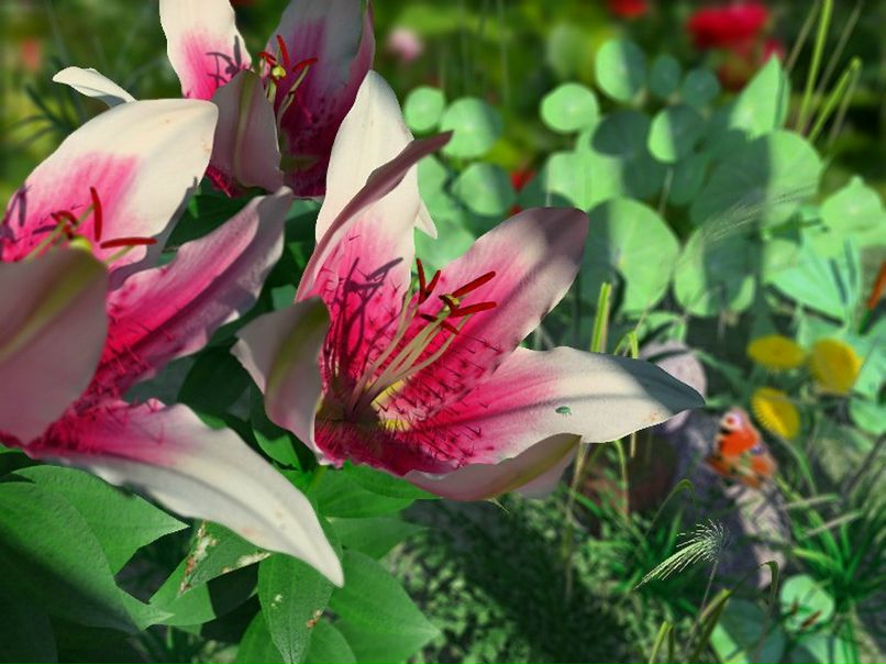 Михаил Валеев фотография #22