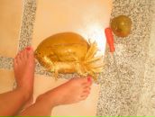 Фотография Tarabychina Nadezda