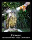 Олексій Урста фотография #40 (источник - https://vk.com/id262970127)