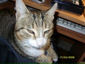 Фотография З Сергея