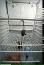 Эдуард Κрюков фотография #44 (источник - https://vk.com/id147935022)