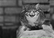 Віталій Гребелюк фотография #6 (источник - https://vk.com/id14593324)