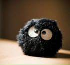 Фотография Абрикосовой Марии