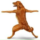 Фотография Акулова Владимира