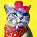 Віталік Солонинко фотография #32 (источник - https://vk.com/id235962912)