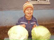 Фотография Osipova Varia