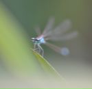 Фотография Бутенко Марии