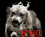 Фотография Никитина Ярослава