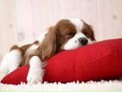 Фотография Мохарямовны Айгуль