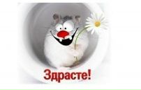 Фотография Красавиной Надежды