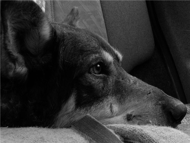 Михаил Литвин фотография #25