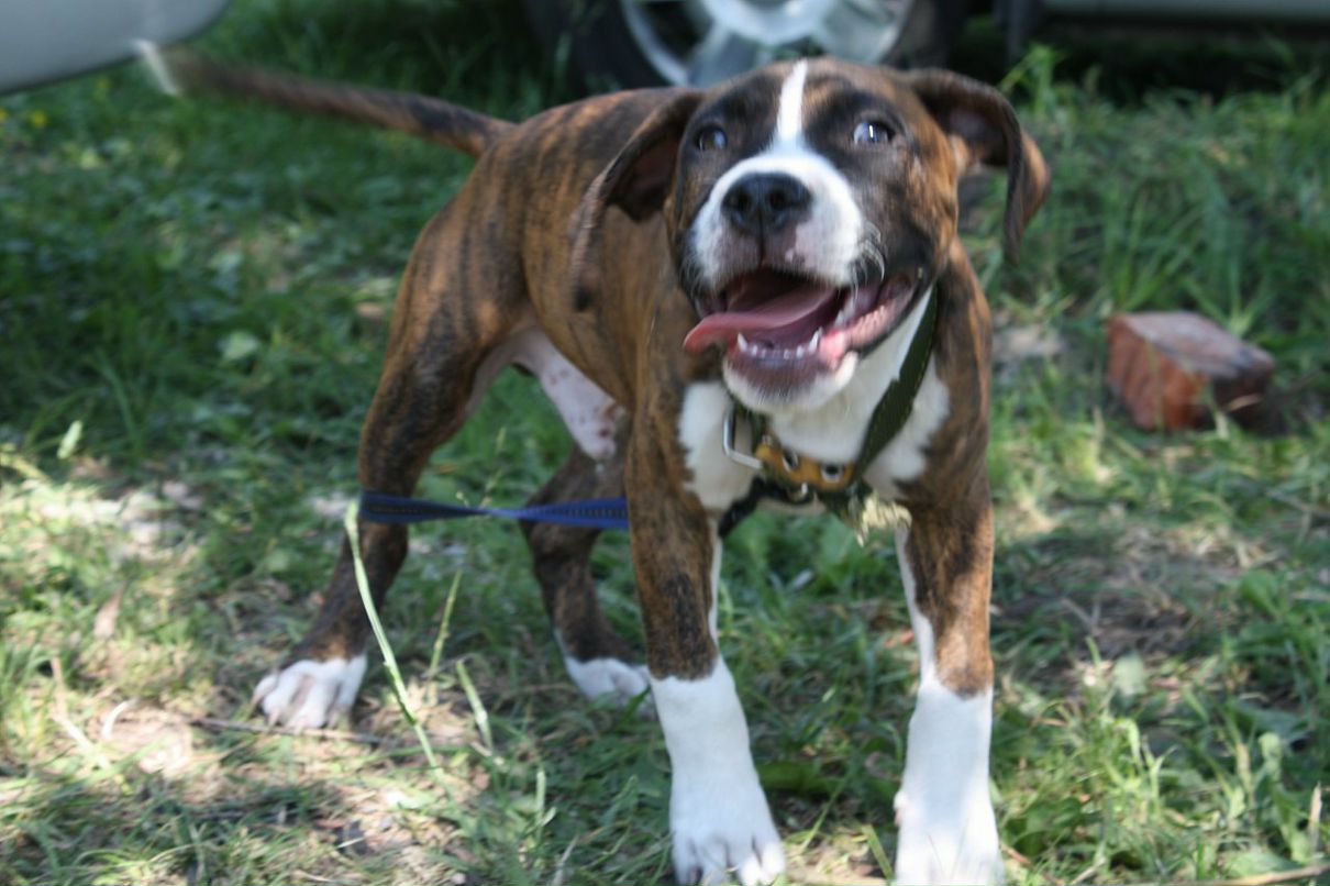 Кирилл Митяев фотография #40