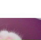 Світлана Кот фотография #16 (источник - https://vk.com/id100801727)