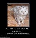 N[i]ki Baby фотография #16 (источник - https://vk.com/id66662499)