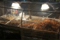 Антон Райский фотография #28 (источник - https://vk.com/id996340)