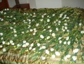 Фотография Арсентьевой Оксаны