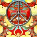 Фотография Чередниченко Анны