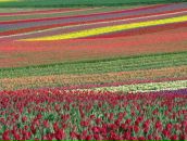 Фотография Поляковой Евгении