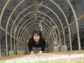 Фотография Короленко Валерии